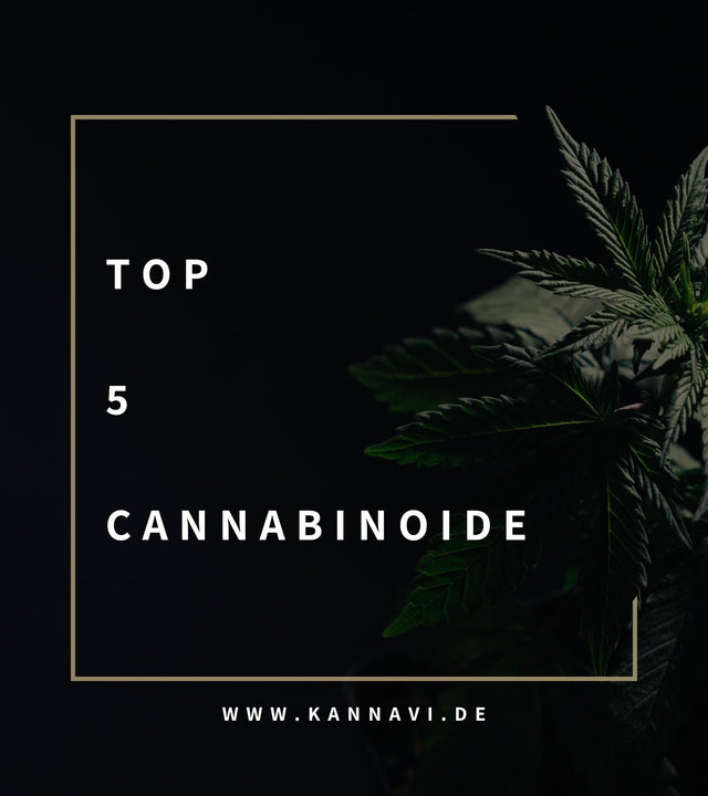 Die fünf wichtigsten Cannabinoide der Hanfpflanze
