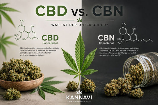 Infografik zum Unterschied zwischen CBD und CBN mit Hanfblüten, Hanfblatt und chemischen Strukturen der Cannabinoide.