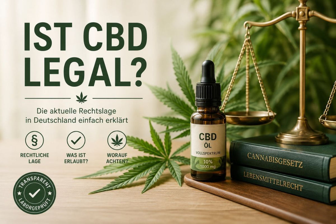 CBD-Öl mit Hanfblättern, Waage und Gesetzesbüchern als Symbol für die Rechtslage von CBD in Deutschland