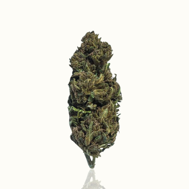 CBD Blüten - Amnesia Kush - Kannavi