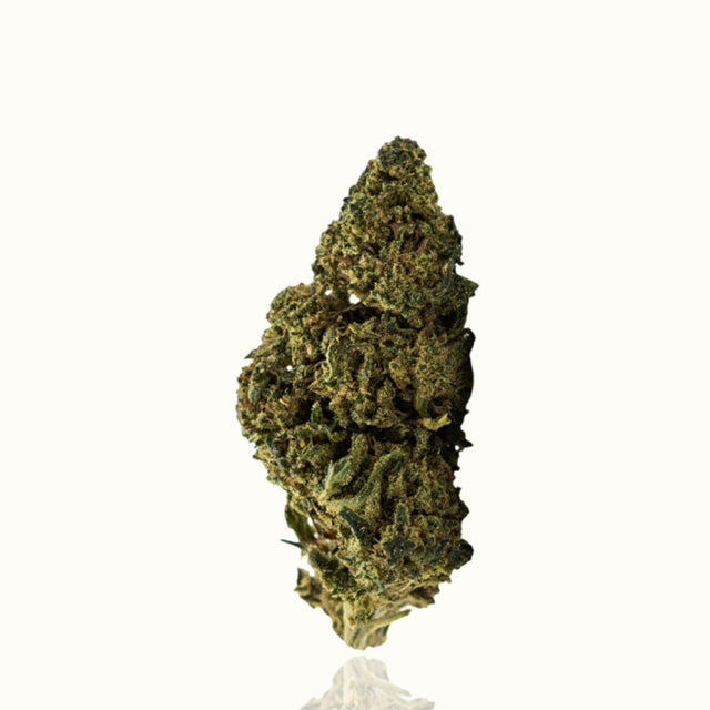 10-OH-HHC Blüten - Gelato - Kannavi