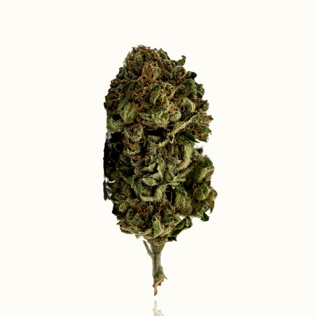 H4CBD Blüten - Lazy Jane - Kannavi