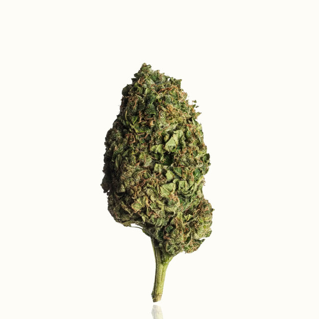 CBN Blüten - Lemon Kush - Kannavi