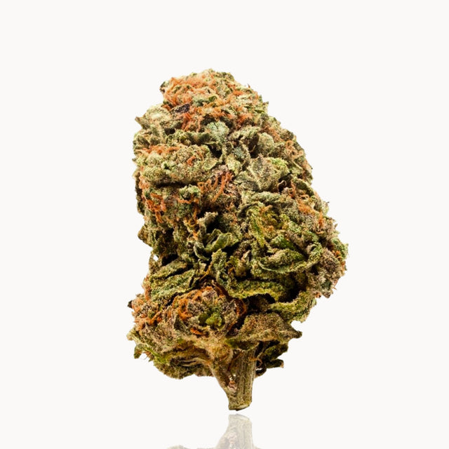 OG Kush CBD Blüte – intensives Aroma, klassischer Strain mit starker Wirkung.
