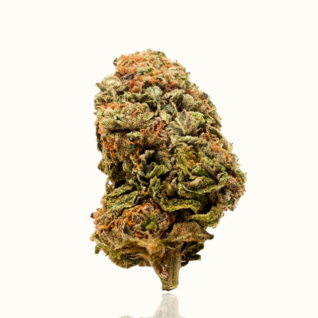 CBD Blüten - OG Kush - Kannavi