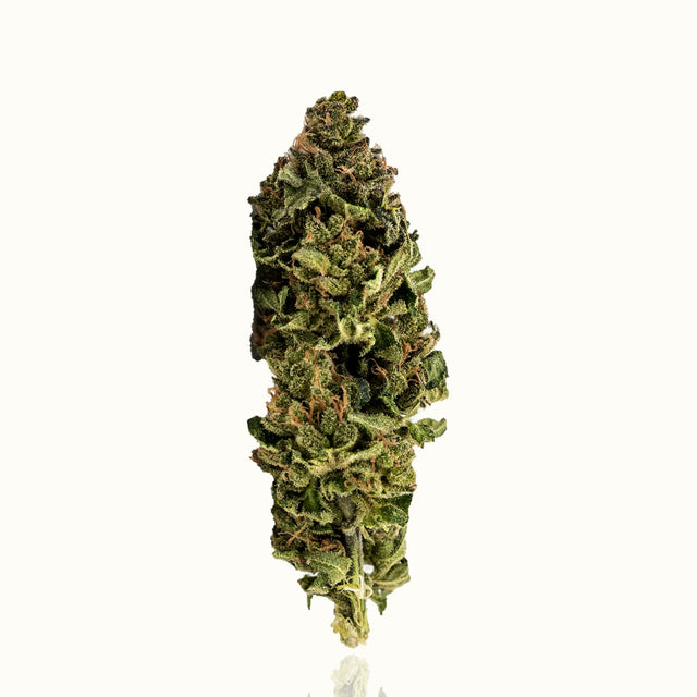 CBN Blüten - Super Skunk - Kannavi