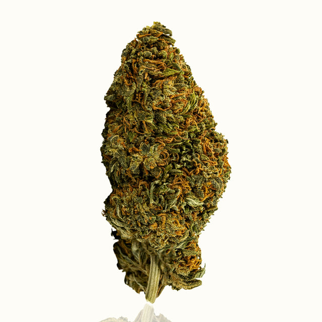 CBN Blüten - Sweet Berry - Kannavi
