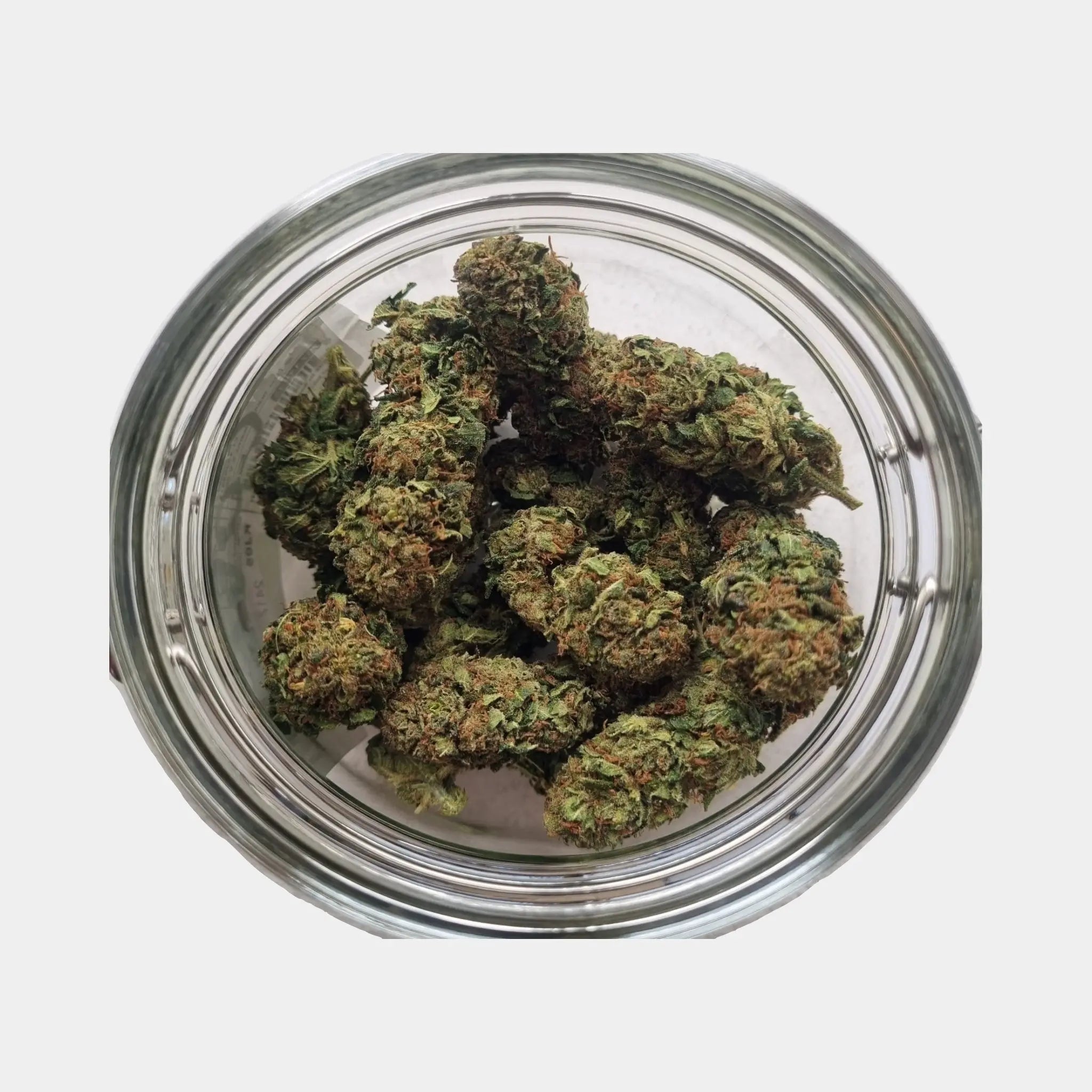 Indoor CBD-Blüten Orange COW (KC Virtus)