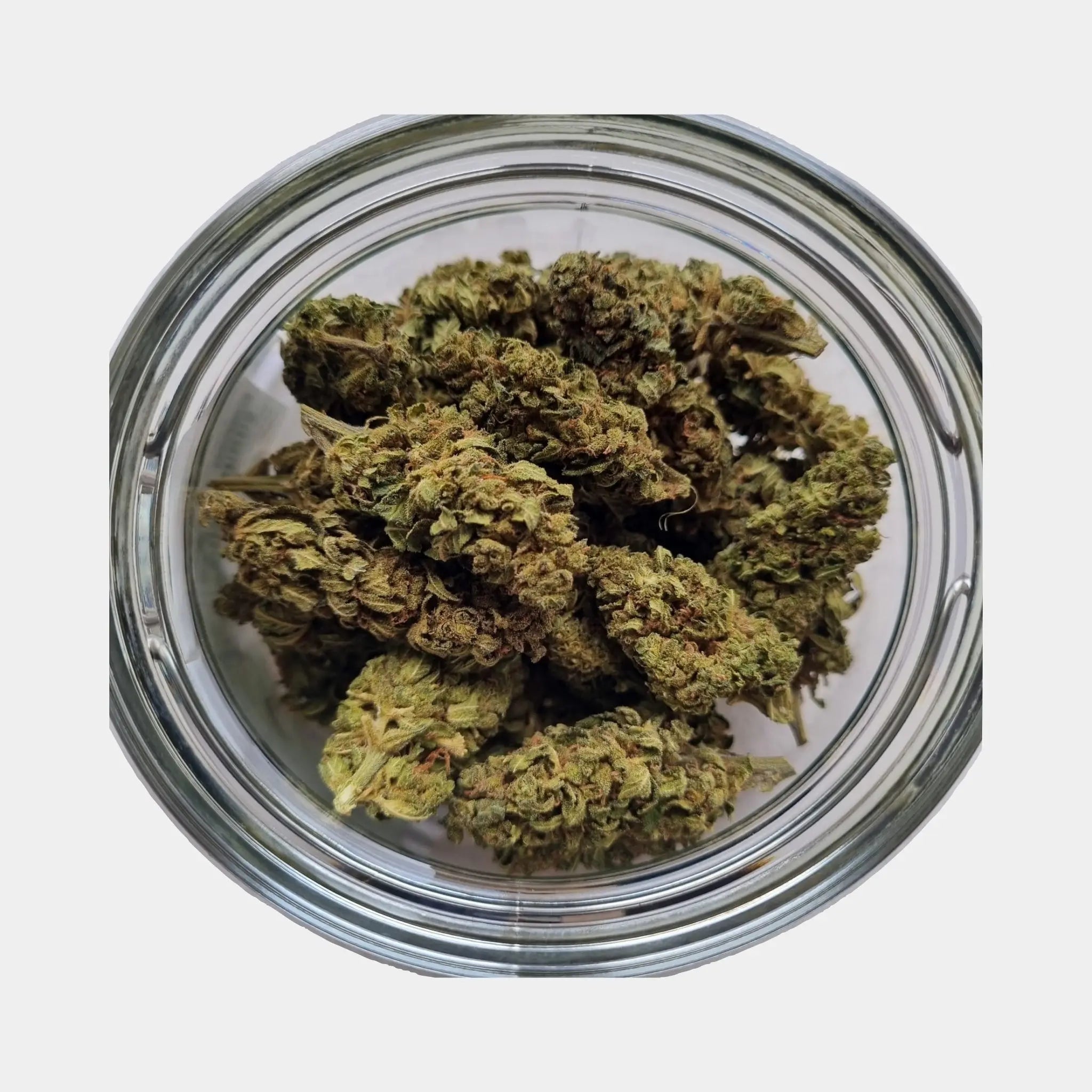 Indoor CBD-Blüten Remedy (Kompolti)