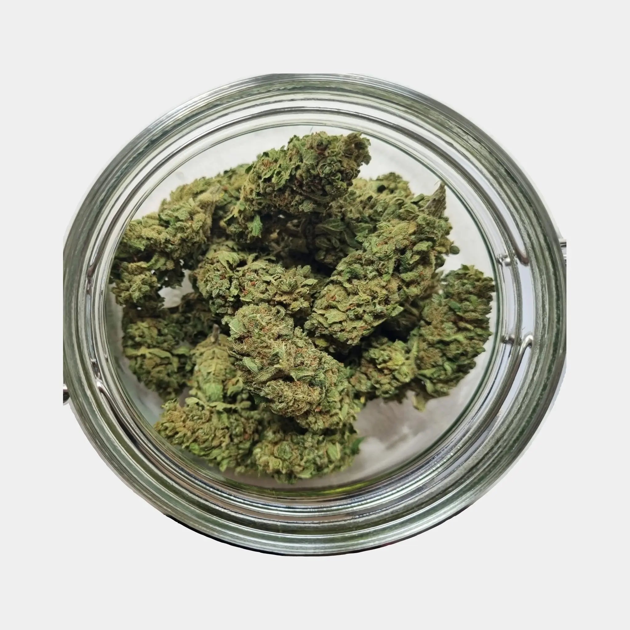 Indoor CBD-Blüten Sour Lemon (Fedora)