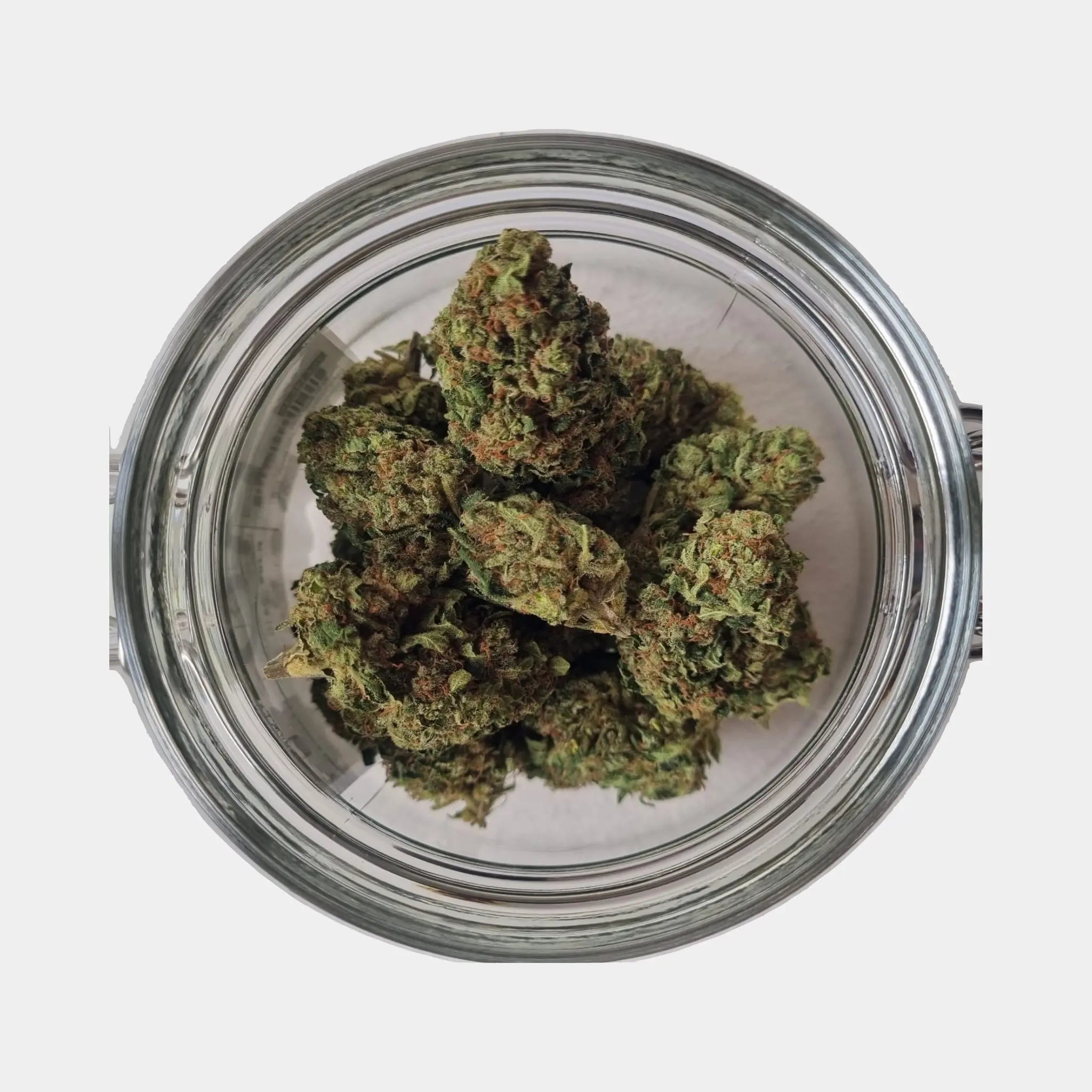 Indoor CBN-Blüten Candy Kush (KC-Virtus)