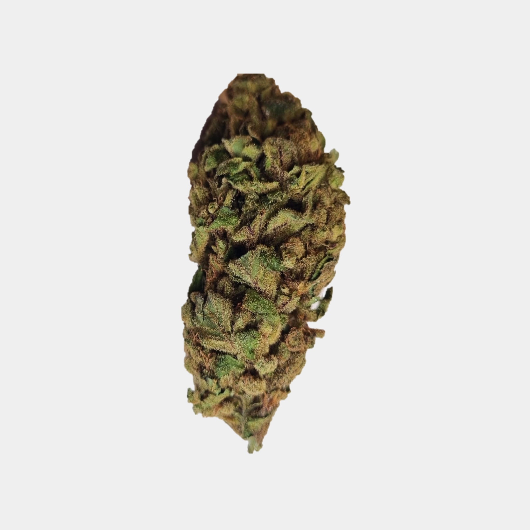 Hanfblüten mit Cannabinol Fedora similar Green Crack