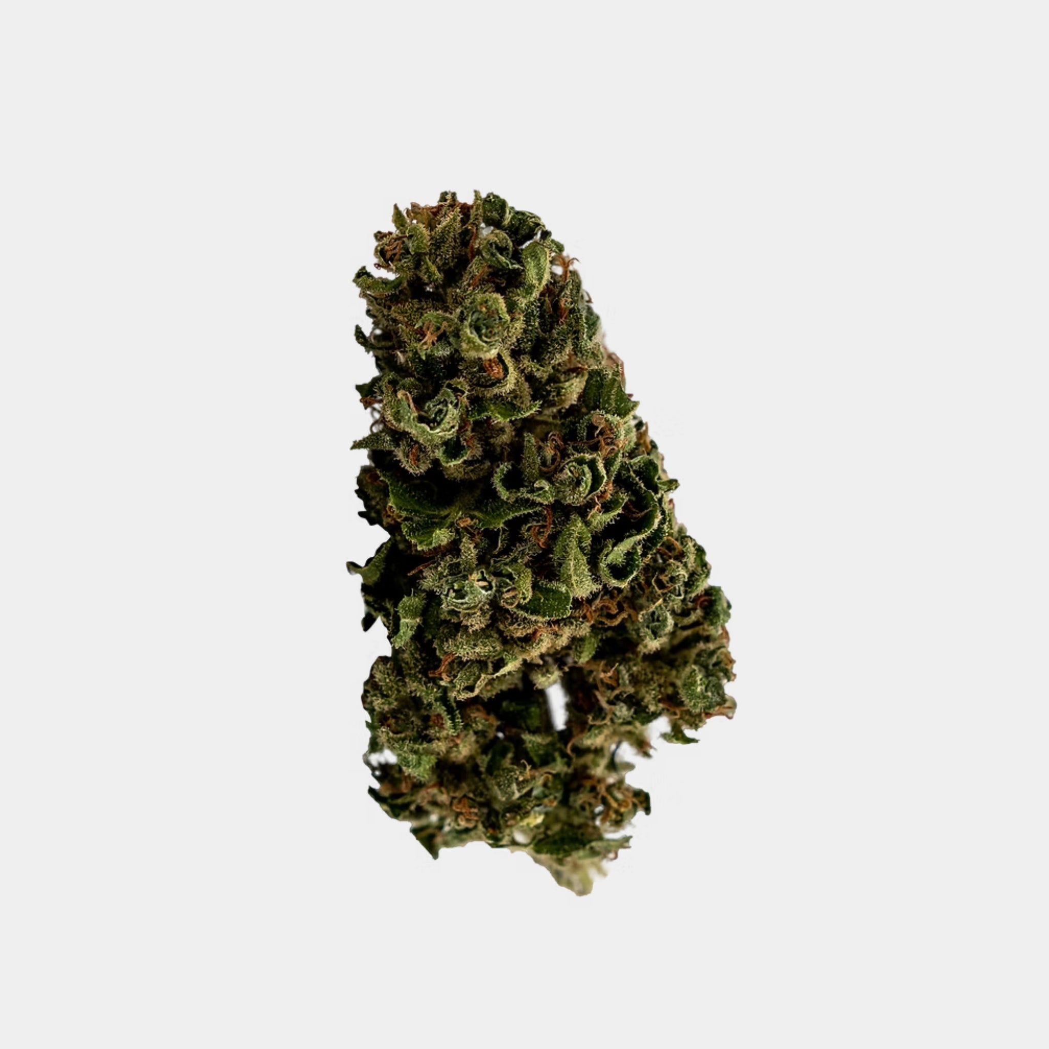 Hanfblüten mit Cannabidiol Fedora similar Sour Lemon