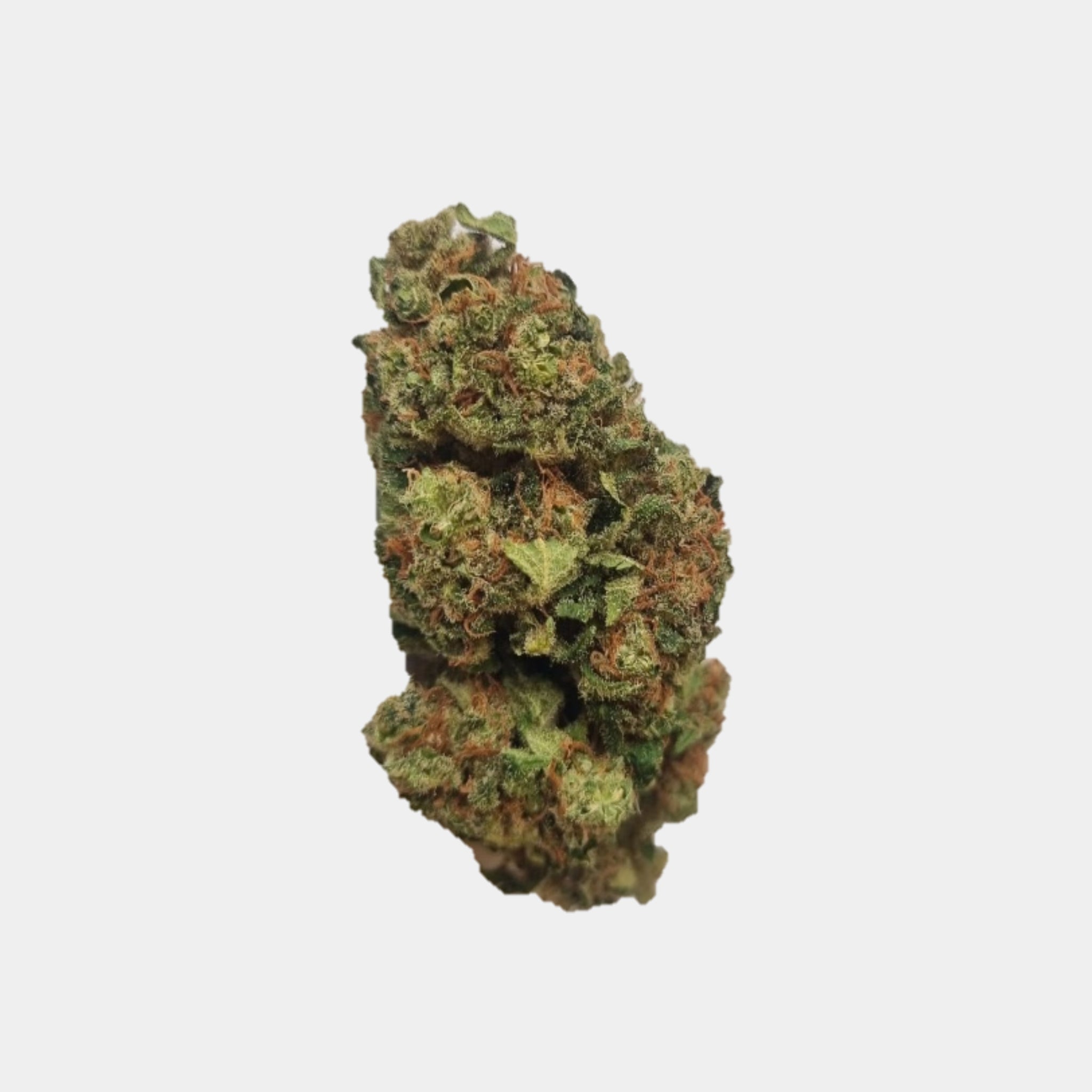 Hanfblüten mit Cannabinol KC Virtus similar Candy Kush