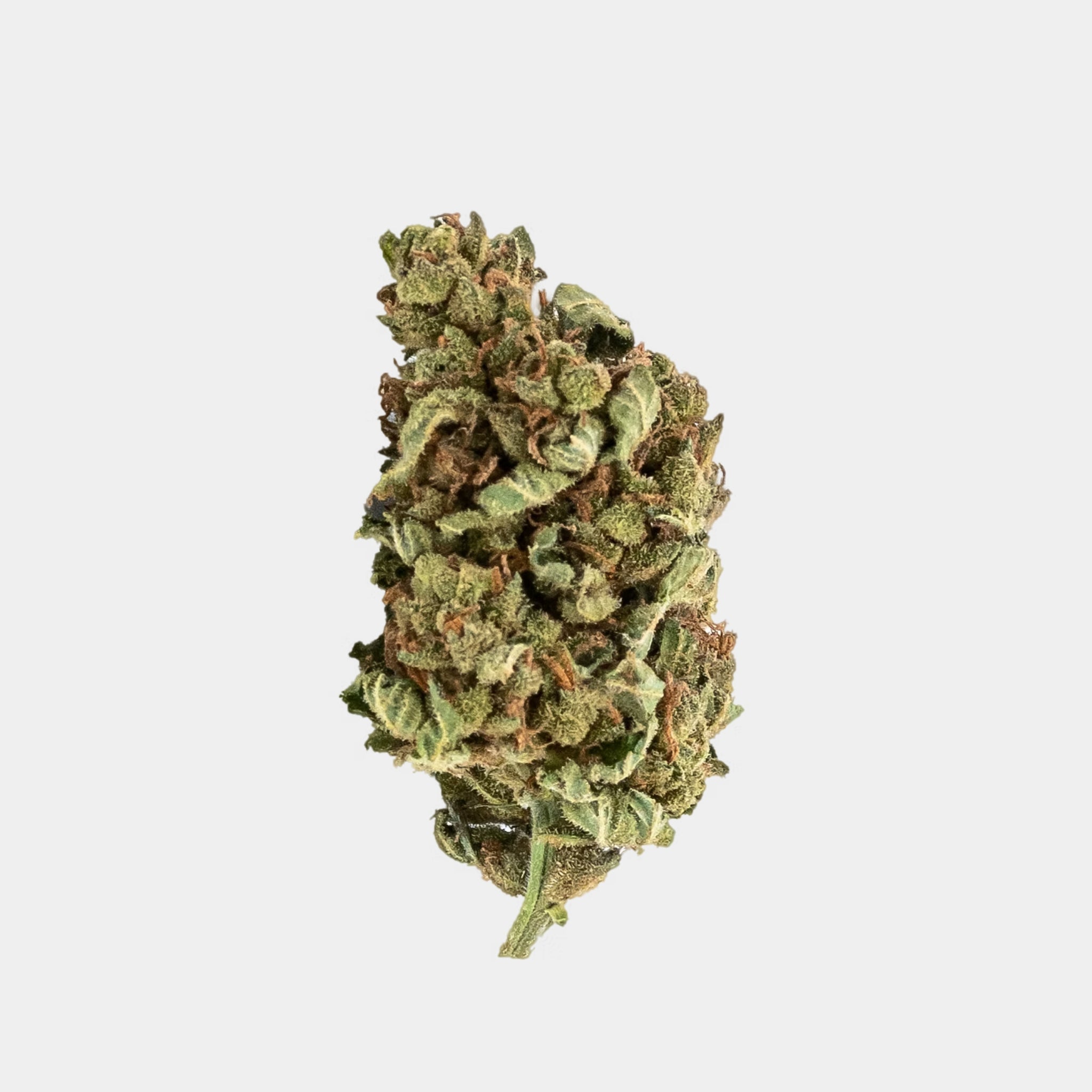Hanfblüten mit Cannabidiol Kompolti similar Remedy
