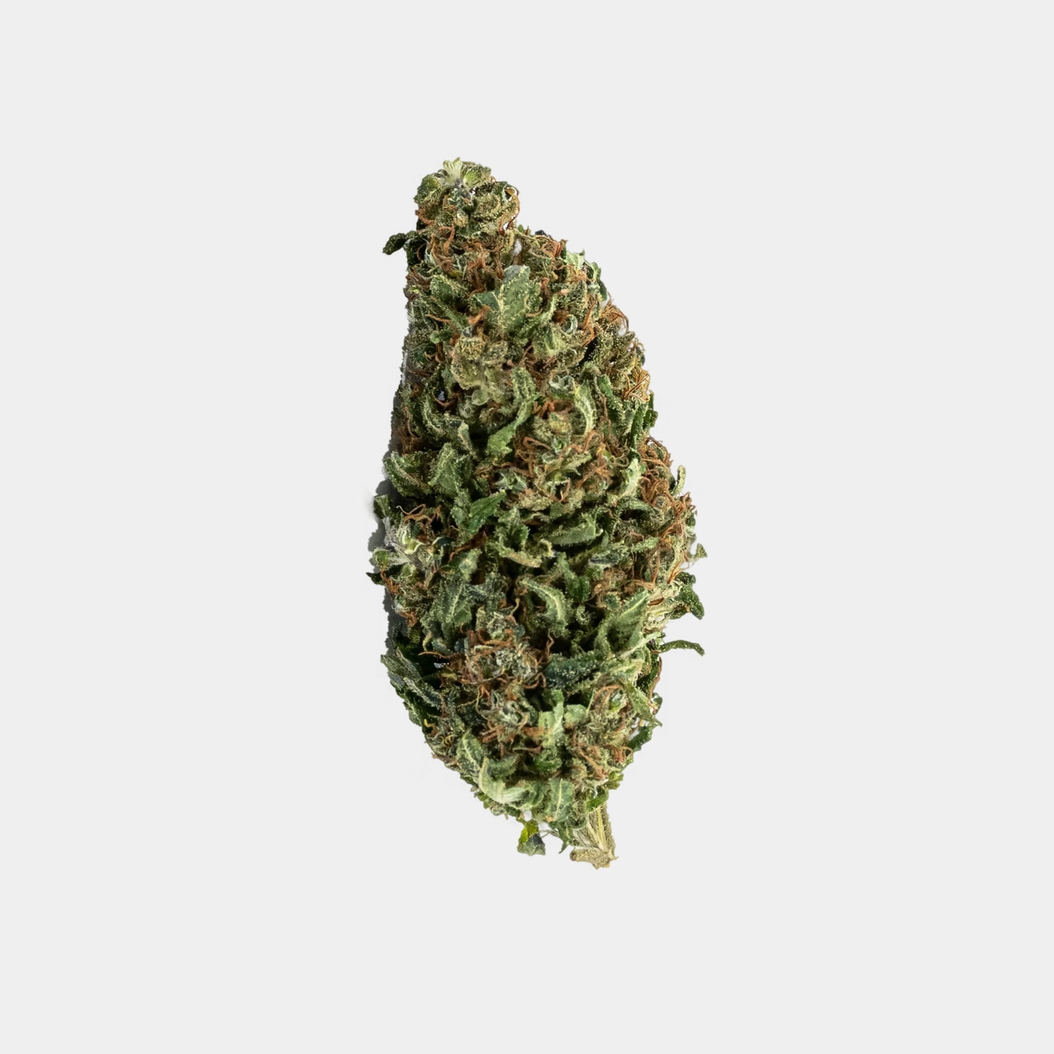 Hanfblüten mit Cannabidiol Tiborszallasi similar Erdbeerli