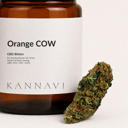  Detailaufnahme von Orange COW CBD-Blüten mit Produktetikett und Hanfblüte

