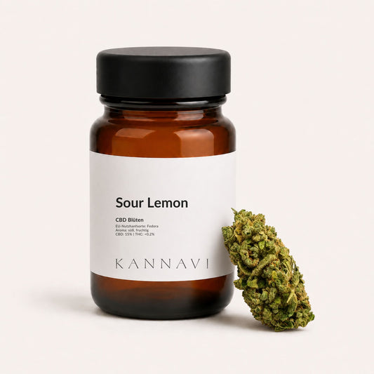 Sour Lemon CBD-Blüten mit Produktglas und Hanfblüte im Kannavi Stil
